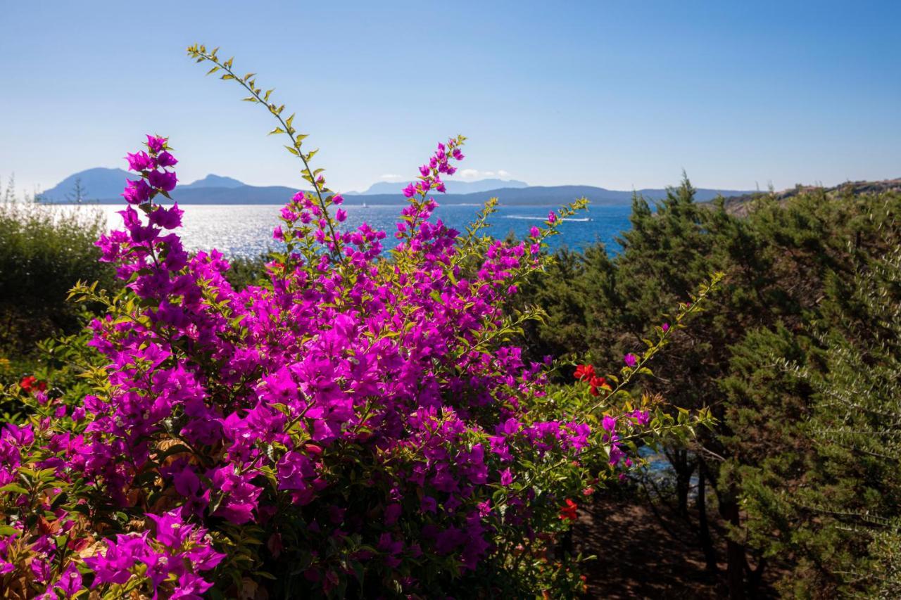 Splendido Appartamento Vista Mare Porto Rotondo Exterior foto